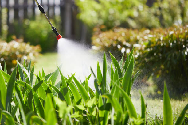 Tamper-Resistant Bait Stations for Rodents in Smyrna